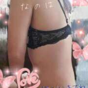 ヒメ日記 2026/02/17 09:22 投稿 なのは マダム可憐