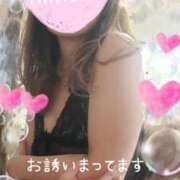 ヒメ日記 2026/02/19 15:53 投稿 なのは マダム可憐