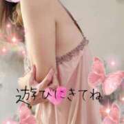 ヒメ日記 2026/04/08 14:33 投稿 なのは マダム可憐