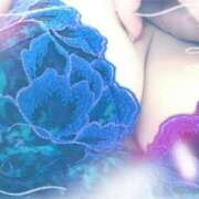 ヒメ日記 2025/04/16 09:50 投稿 赤井 美和 こあくまな熟女たち 静岡店（KOAKUMAグループ）