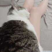 ヒメ日記 2026/01/05 19:52 投稿 ねね 梅田アバンチュール