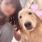 ヒメ日記 2025/11/15 20:52 投稿 ゆの ダイスキ