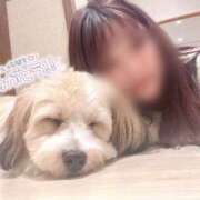 ヒメ日記 2025/11/30 01:12 投稿 ゆの ダイスキ