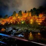 ヒメ日記 2025/12/03 03:08 投稿 ゆの ダイスキ