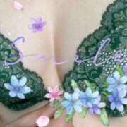 ヒメ日記 2025/02/01 18:35 投稿 春木 ふみか こあくまな熟女たち 鶯谷・日暮里店(KOAKUMAグループ)