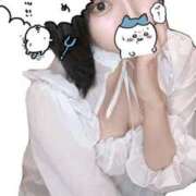 りんか 🉐感謝祭🉐だよあつまれ〜！🐈🐾 アラカルト