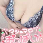 ヒメ日記 2025/11/04 21:38 投稿 みすず 埼玉本庄ちゃんこ