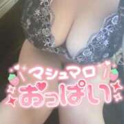 ヒメ日記 2026/01/27 17:24 投稿 みすず 埼玉本庄ちゃんこ