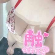 ヒメ日記 2026/09/09 21:14 投稿 みすず 埼玉本庄ちゃんこ
