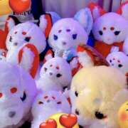 ヒメ日記 2026/03/01 19:09 投稿 伝説のドMいろは ただ離婚してないだけ