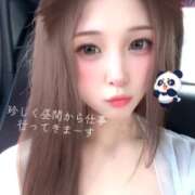 ヒメ日記 2026/07/10 12:48 投稿 伝説のドMいろは ただ離婚してないだけ