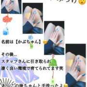 ヒメ日記 2026/07/12 05:13 投稿 伝説のドMいろは ただ離婚してないだけ