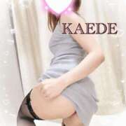 ヒメ日記 2025/03/30 18:15 投稿 かえで 梅田人妻秘密倶楽部