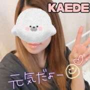 ヒメ日記 2025/05/26 17:50 投稿 かえで 梅田人妻秘密倶楽部