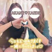 かえで おはよんっっ 梅田人妻秘密倶楽部