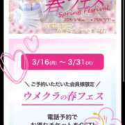 ヒメ日記 2026/03/23 18:50 投稿 かえで 梅田人妻秘密倶楽部