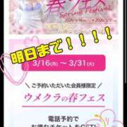ヒメ日記 2026/03/30 21:35 投稿 かえで 梅田人妻秘密倶楽部