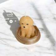 ヒメ日記 2025/04/12 21:38 投稿 れいな 錦糸町ミセスアロマ（ユメオト）