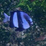 ヒメ日記 2025/05/14 22:00 投稿 れいな 錦糸町ミセスアロマ（ユメオト）