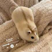 ヒメ日記 2025/05/24 22:43 投稿 れいな 錦糸町ミセスアロマ（ユメオト）