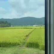 ヒメ日記 2025/08/23 22:00 投稿 れいな 錦糸町ミセスアロマ(ユメオト)