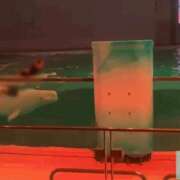 ヒメ日記 2025/08/24 23:15 投稿 れいな 錦糸町ミセスアロマ（ユメオト）