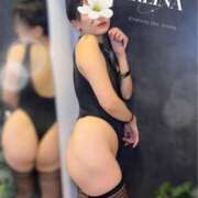 ヒメ日記 2025/10/09 10:00 投稿 れいな 錦糸町ミセスアロマ（ユメオト）