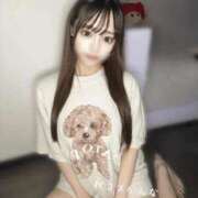 ヒメ日記 2025/05/26 14:02 投稿 かんな 秋葉原コスプレ学園(AKG)