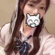 ヒメ日記 2025/05/29 22:01 投稿 かんな 秋葉原コスプレ学園(AKG)