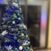 ヒメ日記 2025/11/14 02:01 投稿 かんな 秋葉原コスプレ学園(AKG)