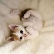 ヒメ日記 2025/03/12 10:49 投稿 きょうこ 熟女の風俗最終章 池袋店