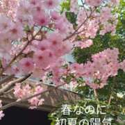 ヒメ日記 2025/03/26 12:29 投稿 きょうこ 熟女の風俗最終章 池袋店