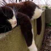 ヒメ日記 2025/09/19 12:52 投稿 きょうこ 熟女の風俗最終章 池袋店