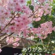ヒメ日記 2026/03/06 21:36 投稿 きょうこ 熟女の風俗最終章 池袋店