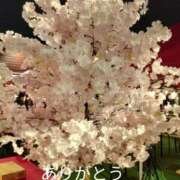 ヒメ日記 2026/03/30 21:52 投稿 きょうこ 熟女の風俗最終章 池袋店