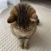 ヒメ日記 2026/04/17 12:42 投稿 きょうこ 熟女の風俗最終章 池袋店