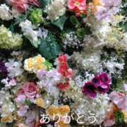 ヒメ日記 2026/05/09 02:59 投稿 きょうこ 熟女の風俗最終章 池袋店