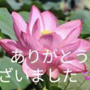 ヒメ日記 2026/07/17 17:26 投稿 きょうこ 熟女の風俗最終章 池袋店