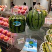 ヒメ日記 2026/08/07 18:49 投稿 きょうこ 熟女の風俗最終章 池袋店