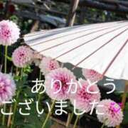 ヒメ日記 2026/08/31 18:02 投稿 きょうこ 熟女の風俗最終章 池袋店