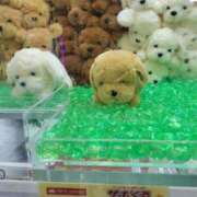 ヒメ日記 2025/08/13 04:01 投稿 ともか とある風俗店♡やりすぎさーくる新宿大久保店♡で色んな無料オプションしてみました