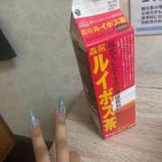 ヒメ日記 2025/05/09 00:19 投稿 ジャネット アネックスジャパン