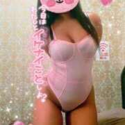 ジャネット どっちでしょうか⁉️ アネックスジャパン