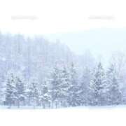 ヒメ日記 2024/12/20 14:15 投稿 ゆきこ ギン妻パラダイス 和歌山店