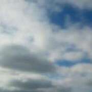 ヒメ日記 2024/12/22 12:24 投稿 ゆきこ ギン妻パラダイス 和歌山店