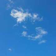 ヒメ日記 2025/03/09 13:01 投稿 ゆきこ ギン妻パラダイス 和歌山店