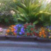 ヒメ日記 2025/03/22 10:55 投稿 ゆきこ ギン妻パラダイス 和歌山店