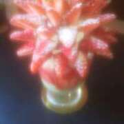 ヒメ日記 2025/04/12 17:39 投稿 ゆきこ ギン妻パラダイス 和歌山店