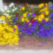 ヒメ日記 2025/04/18 14:50 投稿 ゆきこ ギン妻パラダイス 和歌山店