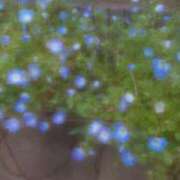 ヒメ日記 2025/04/19 10:55 投稿 ゆきこ ギン妻パラダイス 和歌山店